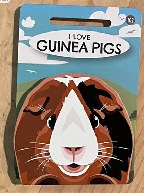Pet & Critter GUINEA PIG Wooden Bag Clip, Fridge Magnet NWT